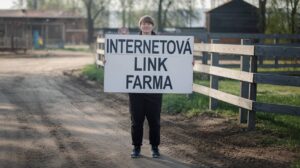 Link farma