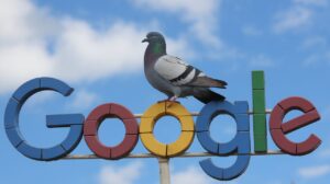 Google Pigeon