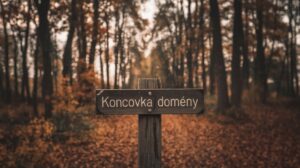 Koncovka domény