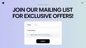 Vstupní stránka (Landing Page)